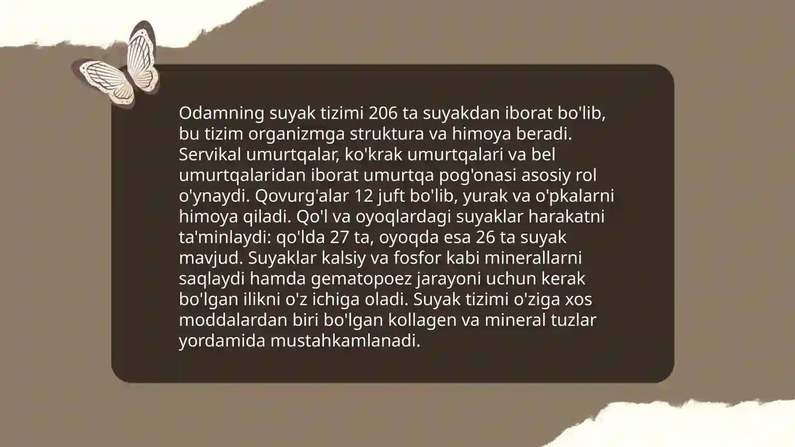 Odamning tana tuzilishi tiplari 4