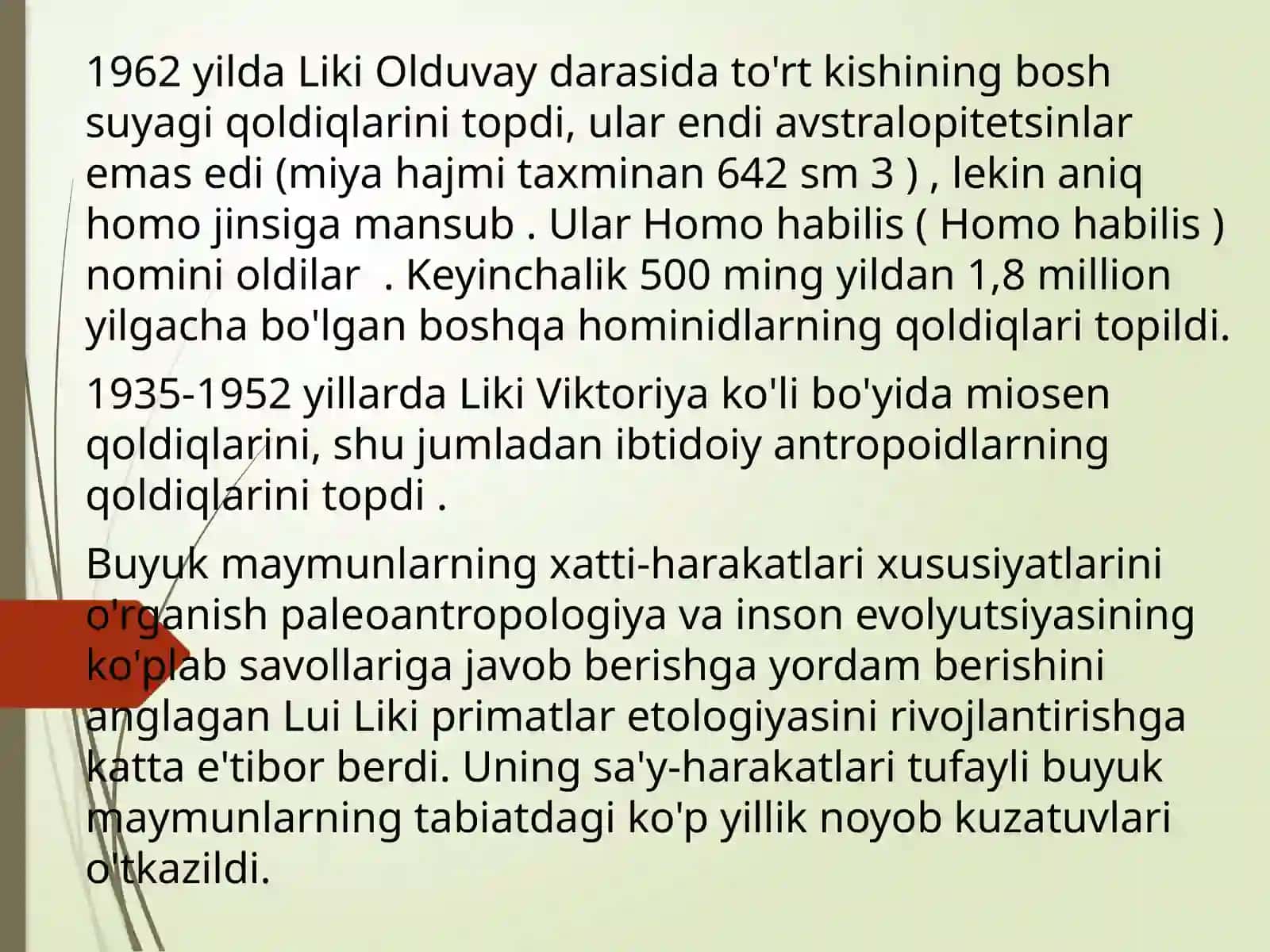 Zamonaviy odam kelib chiqishining arxeologik dalillari 4