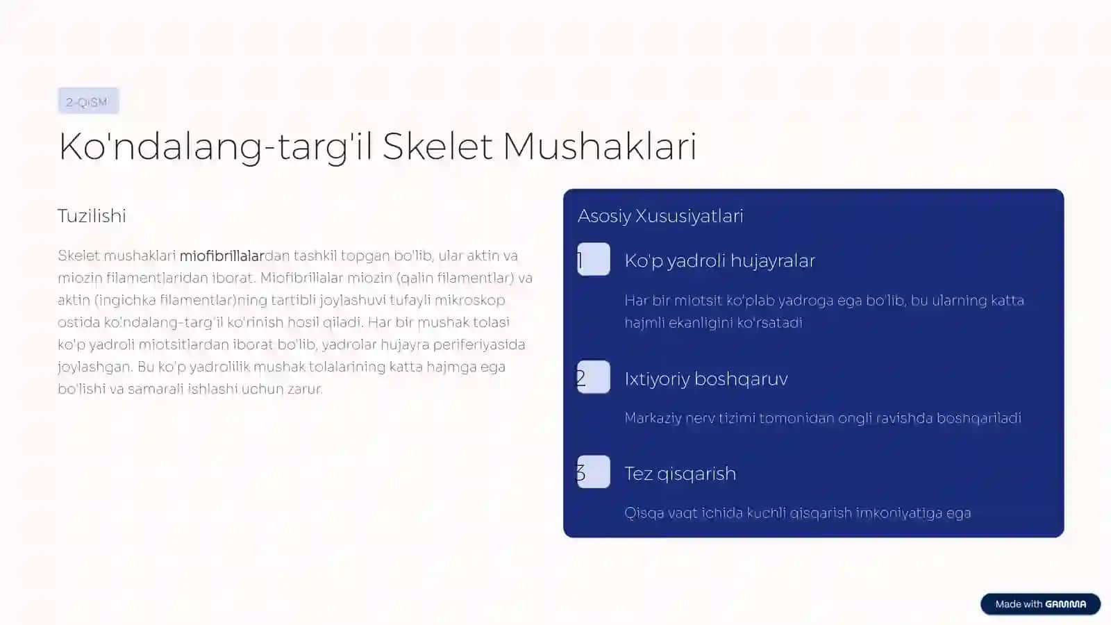 Mushak To'qimasi: Harakatning Sirlari 4