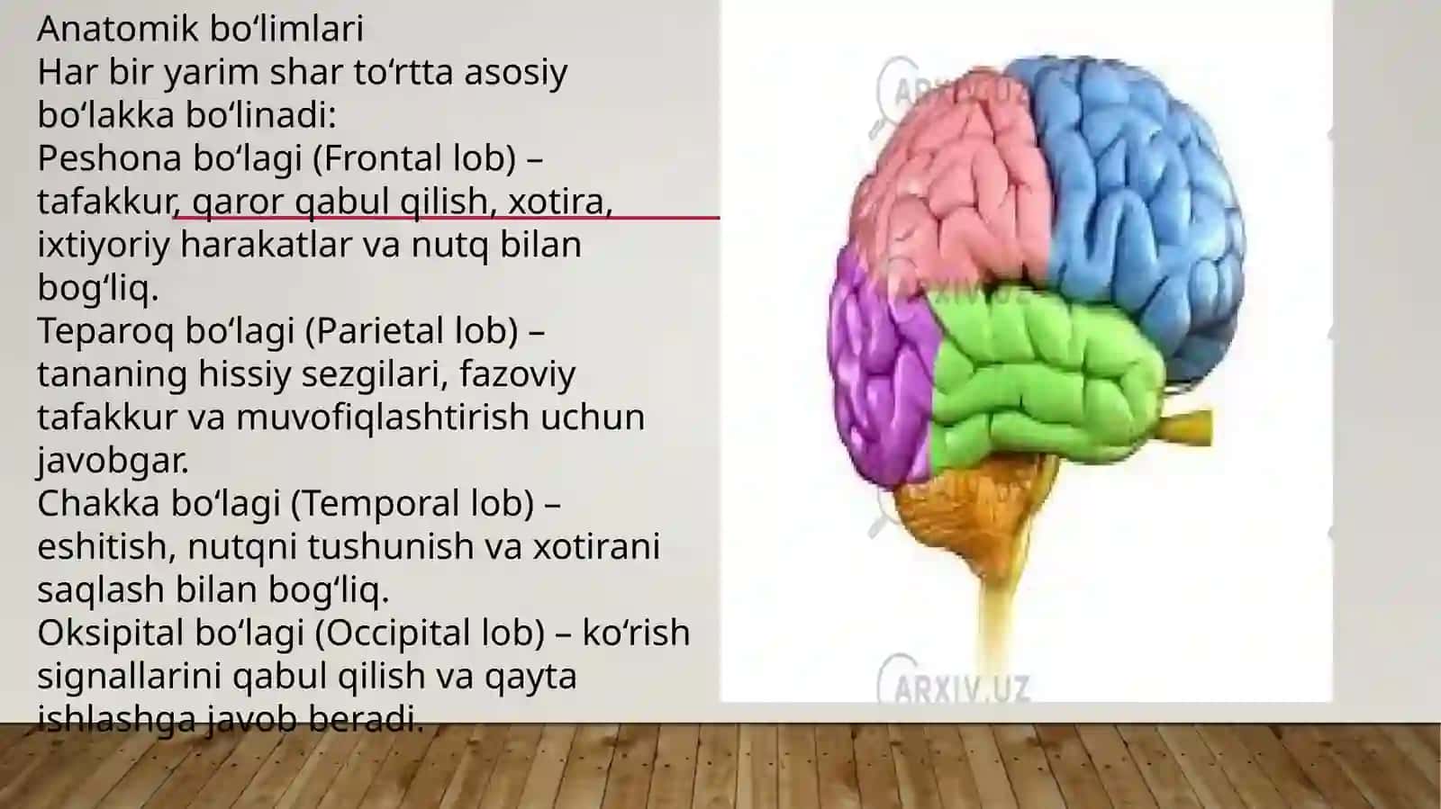 Bosh miya yarim sharlari 4