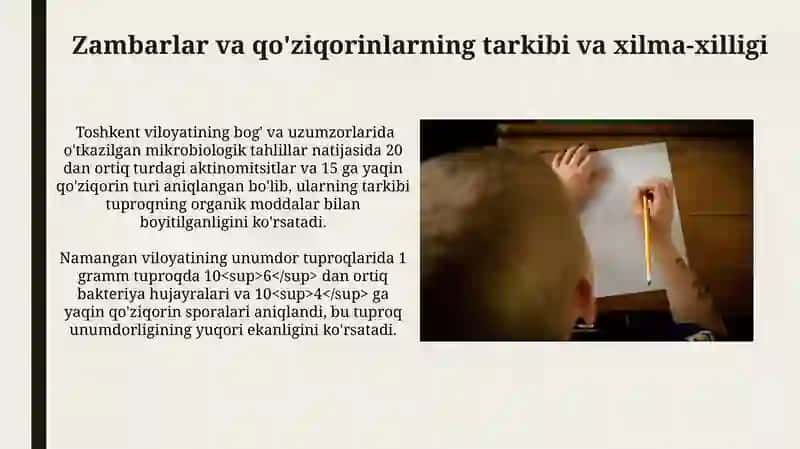 Tuproqning Mikrobiologik Holatini O‘rganish Natijalari 4