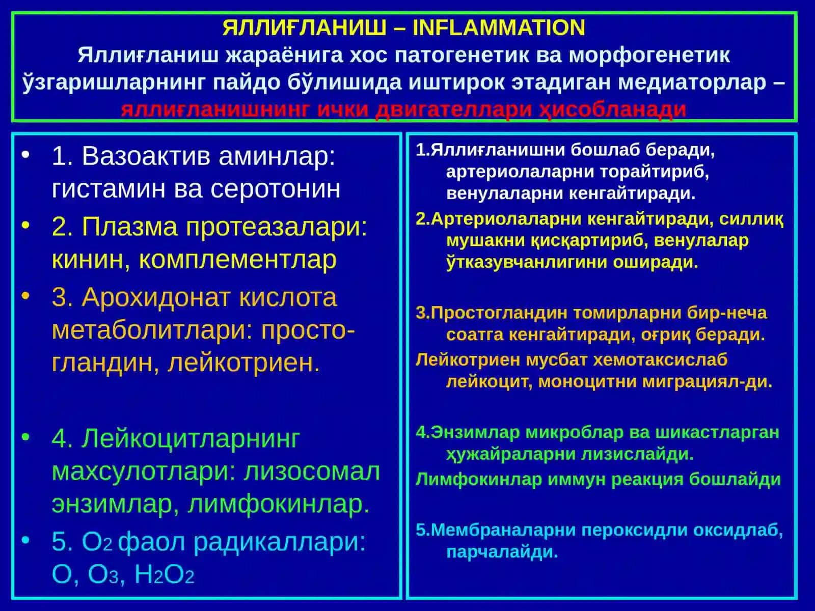 ПАТОЛОГИК АНАТОМИЯ 4