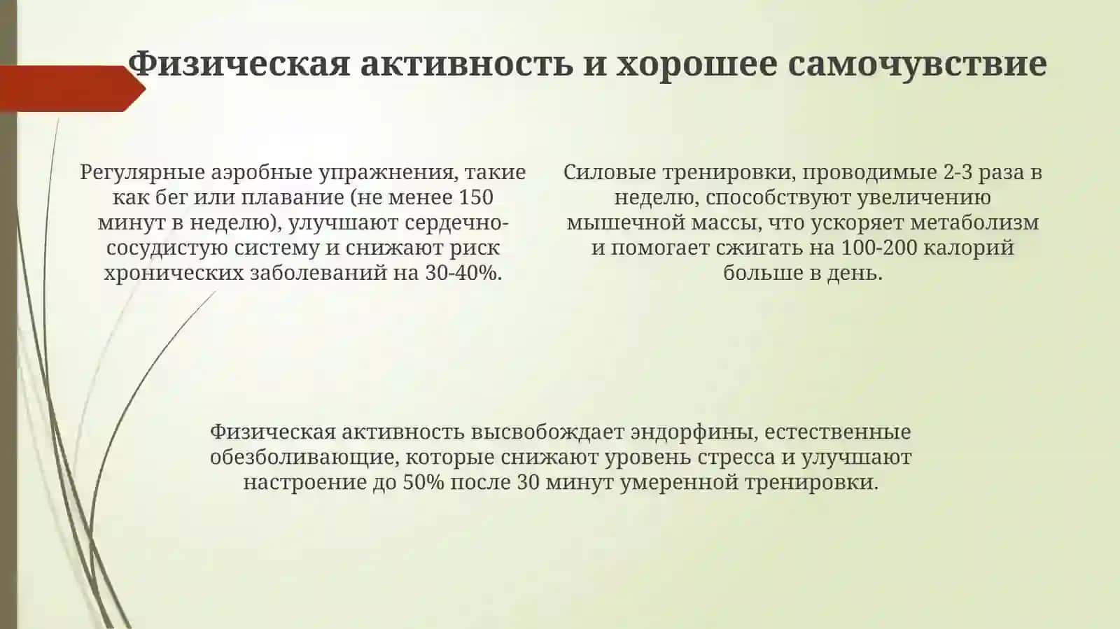 Здоровый образ жизни 4
