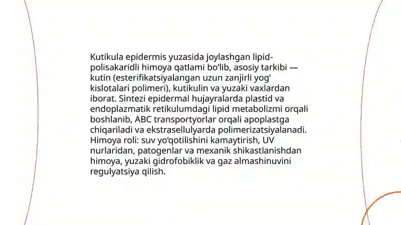 O'simliklarning qoplovchi to'qimasi 4