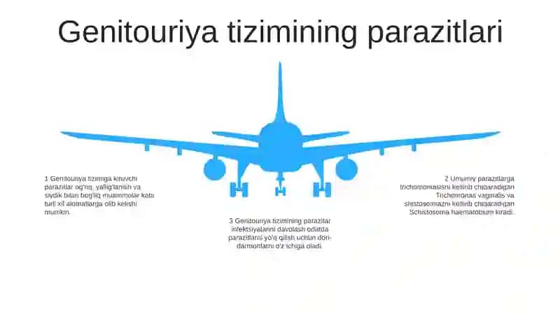 Odamda Parazitlik Qiluvchi Sodda Hayvonalar 4