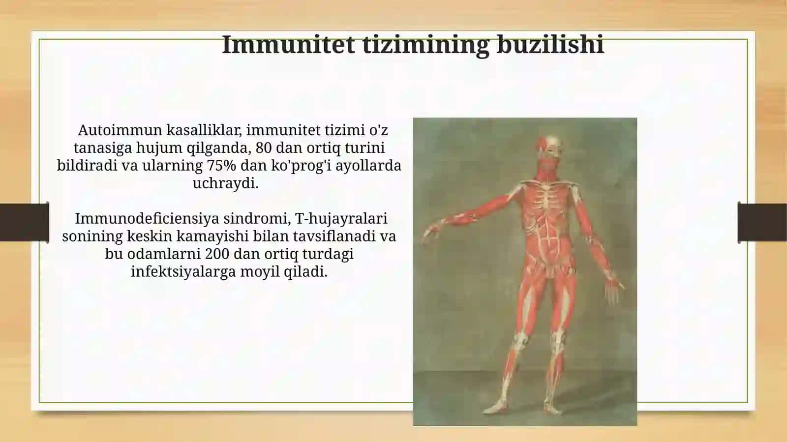 Qon yaratuvchi va immun himoya a'zolari 4