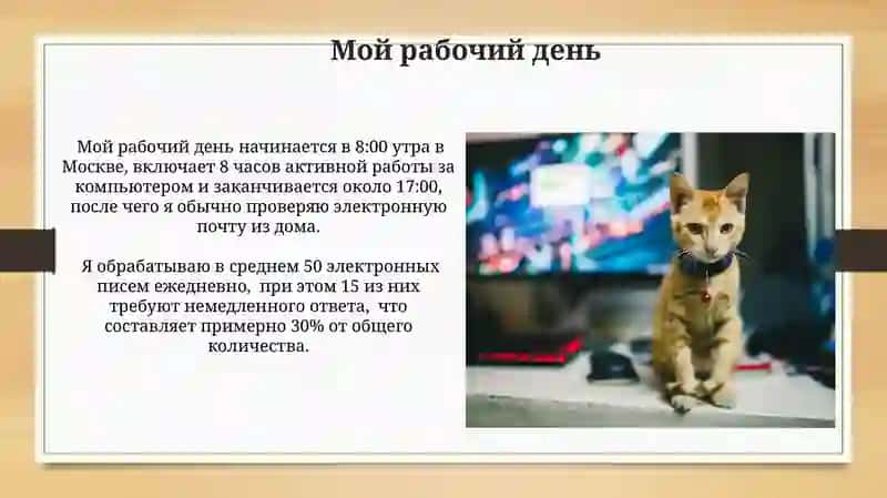 Мой рабочий день 4