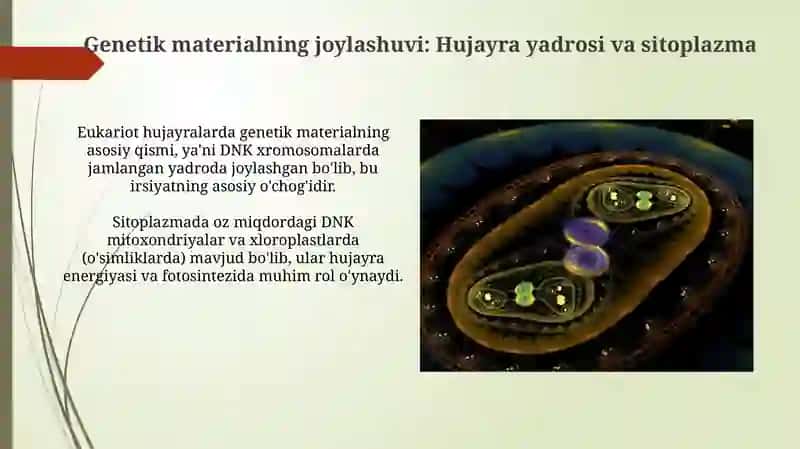 Hujayra irsiyatning moddiy asosi ekanligi 4