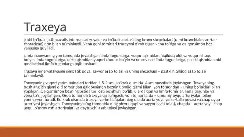 Traxeya,broxvao’pkaninganatomik-fiziologikxususiyatlari 4