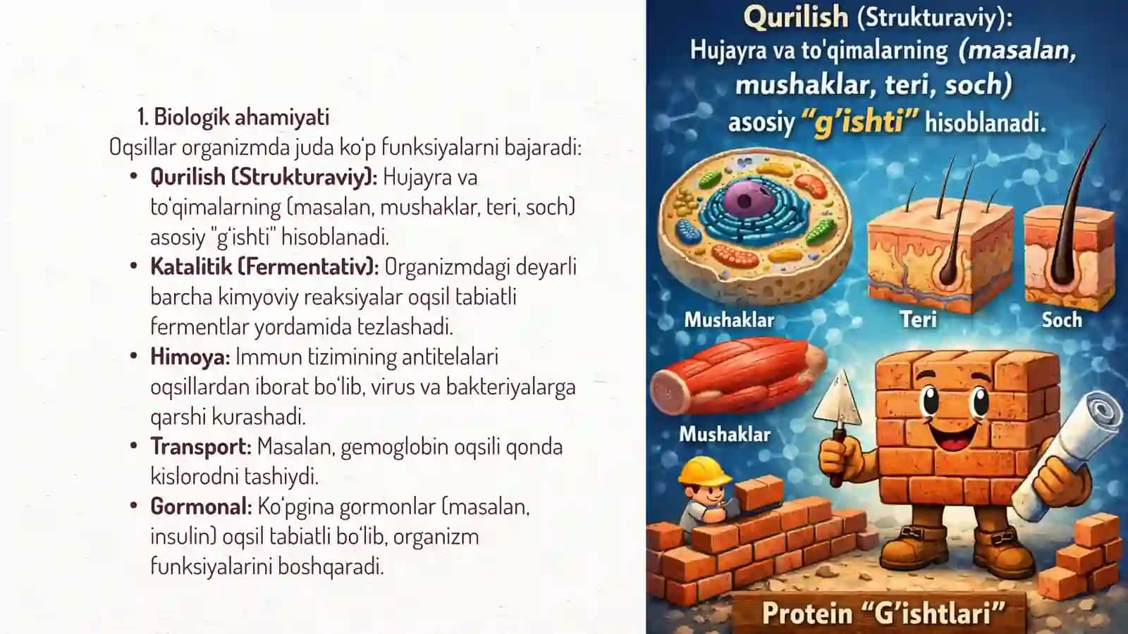 Oqsillarning biologik va ozuqaviy ahamiyati 4