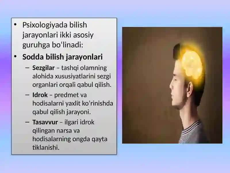 Mavu:Bilish jarayonlari klassifikatsiyasi va tavsiflanishi 4