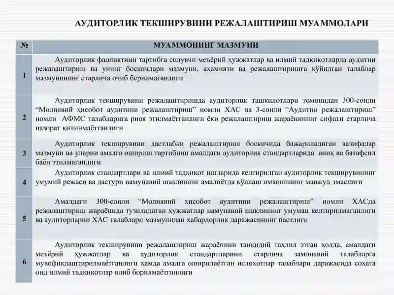 Auditorlik tekshiruvini rejalashtirish 4
