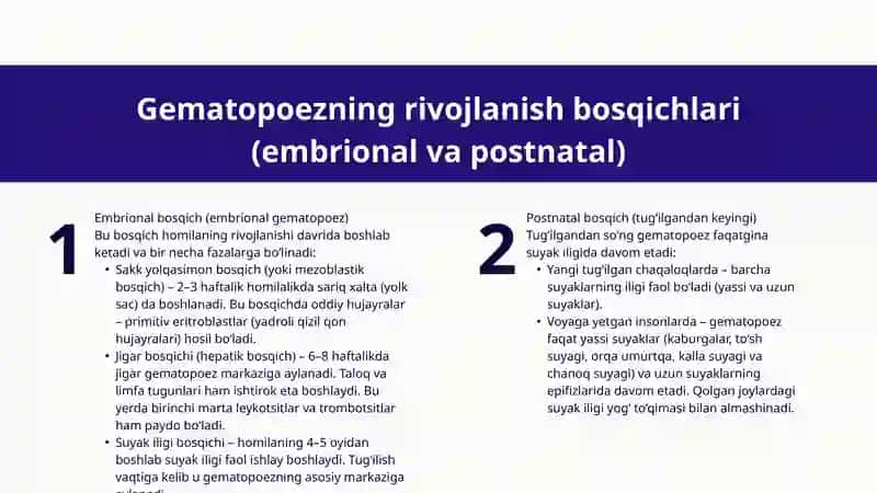 Gematopoez Nazariyalari. Qonning o'zak hujayrasi morfo-funksional xarakteristikasi 4