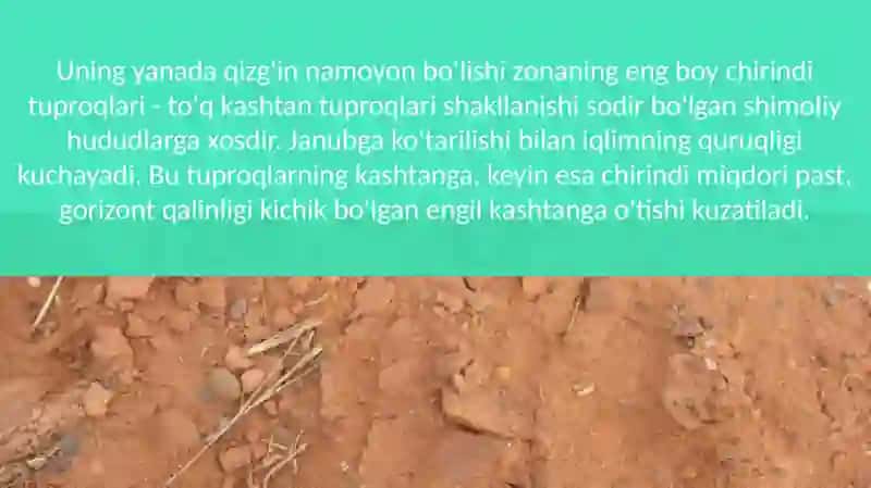 Kashtan 4