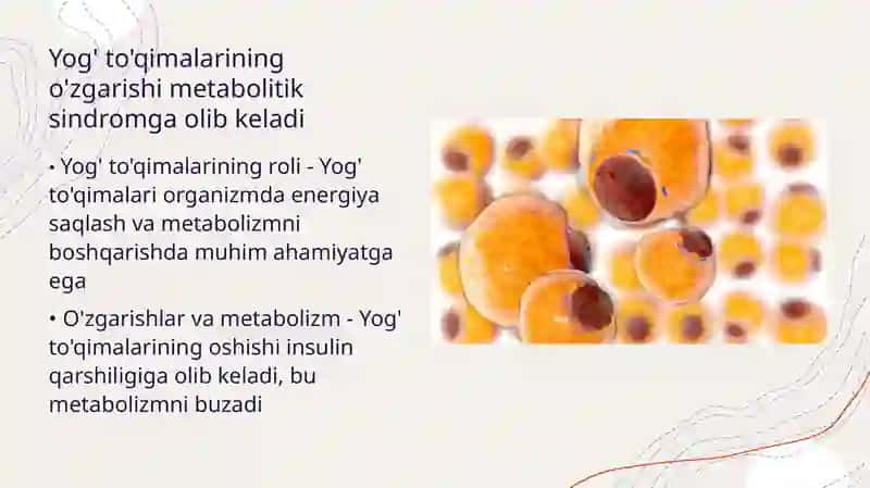 Metaboliksindrom kelib chiqishining biokimyoviy asoslari 4