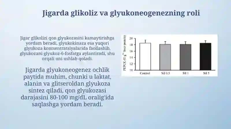 Glikoliz va glyukoneogenezning boshqarishi 4