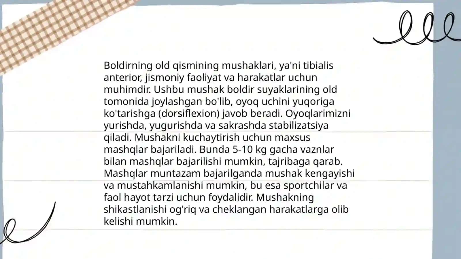 Boldir mushaklari anatomiyasi 4