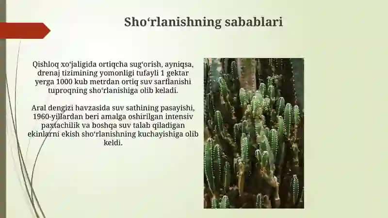 Rekulьtivatsiya texnologiyalari 4