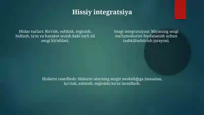 Sezgilarning tasnifi, sezgilarning turlari, sezgi sohasidagi qonuniyatlar 4