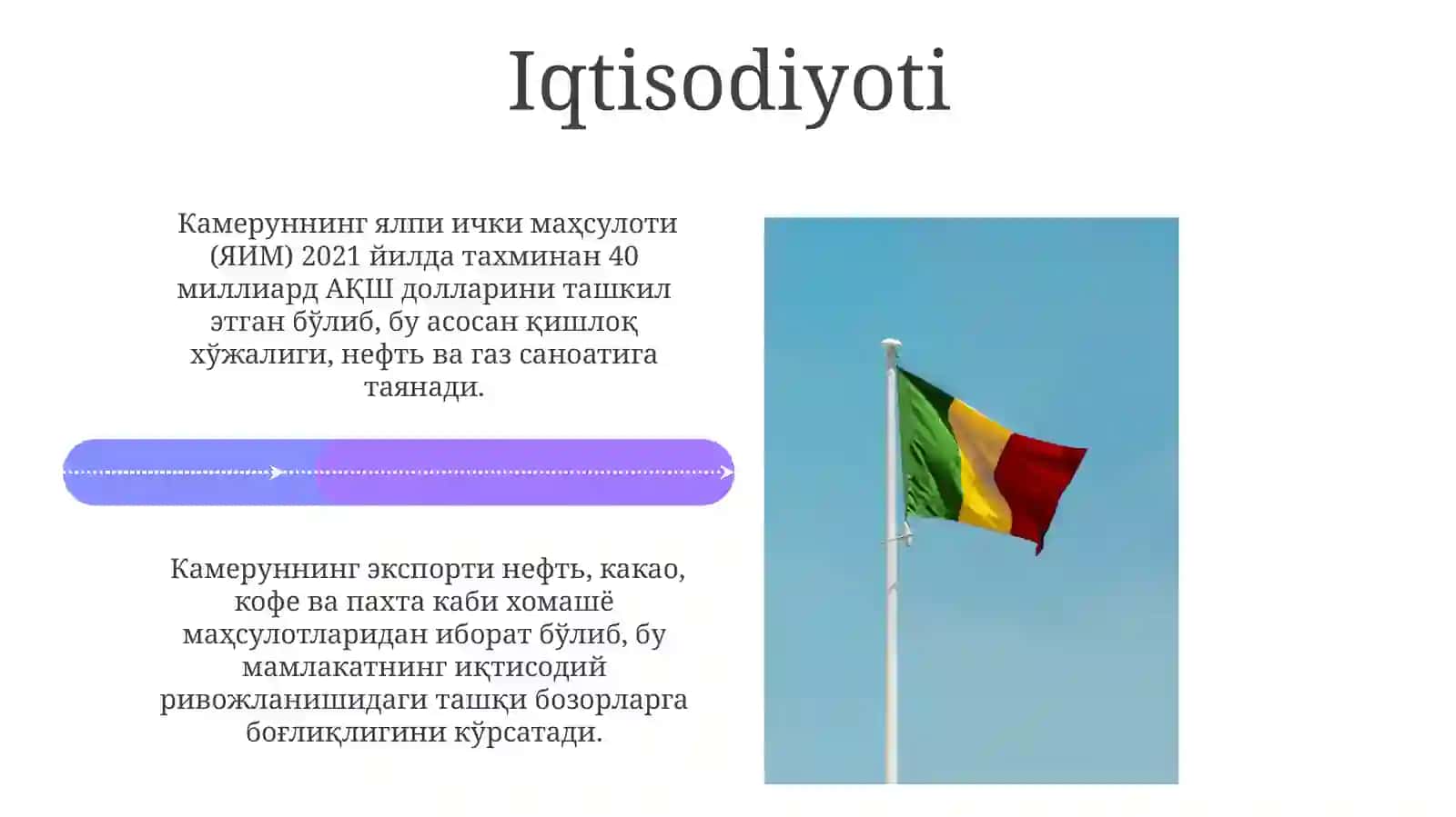 Kamerun Davlatining Geografiyasi va Demografiyasi 4