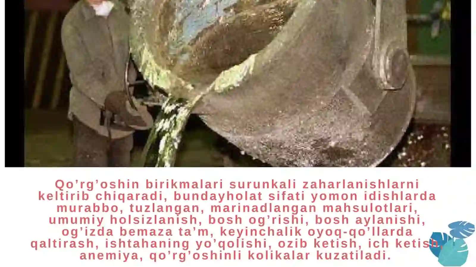 Qo'rg'oshin bilan muloqotda bo'lganlar uchun ratsion tuzish 4