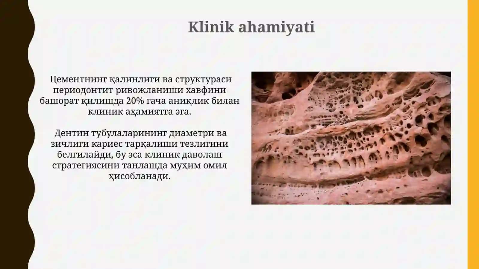 Tish qattiq toʻqimalarining (emal dentin sement )gistologik tuzulishi 4