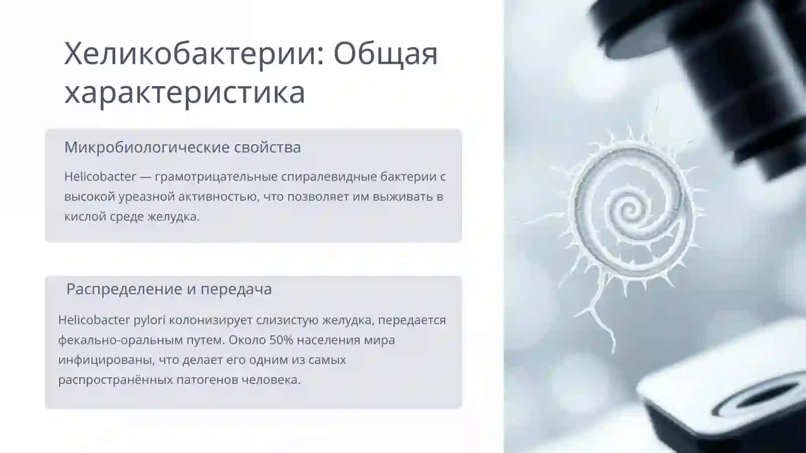 Кампилобактерии и хеликобактерии: Практическое значение 4