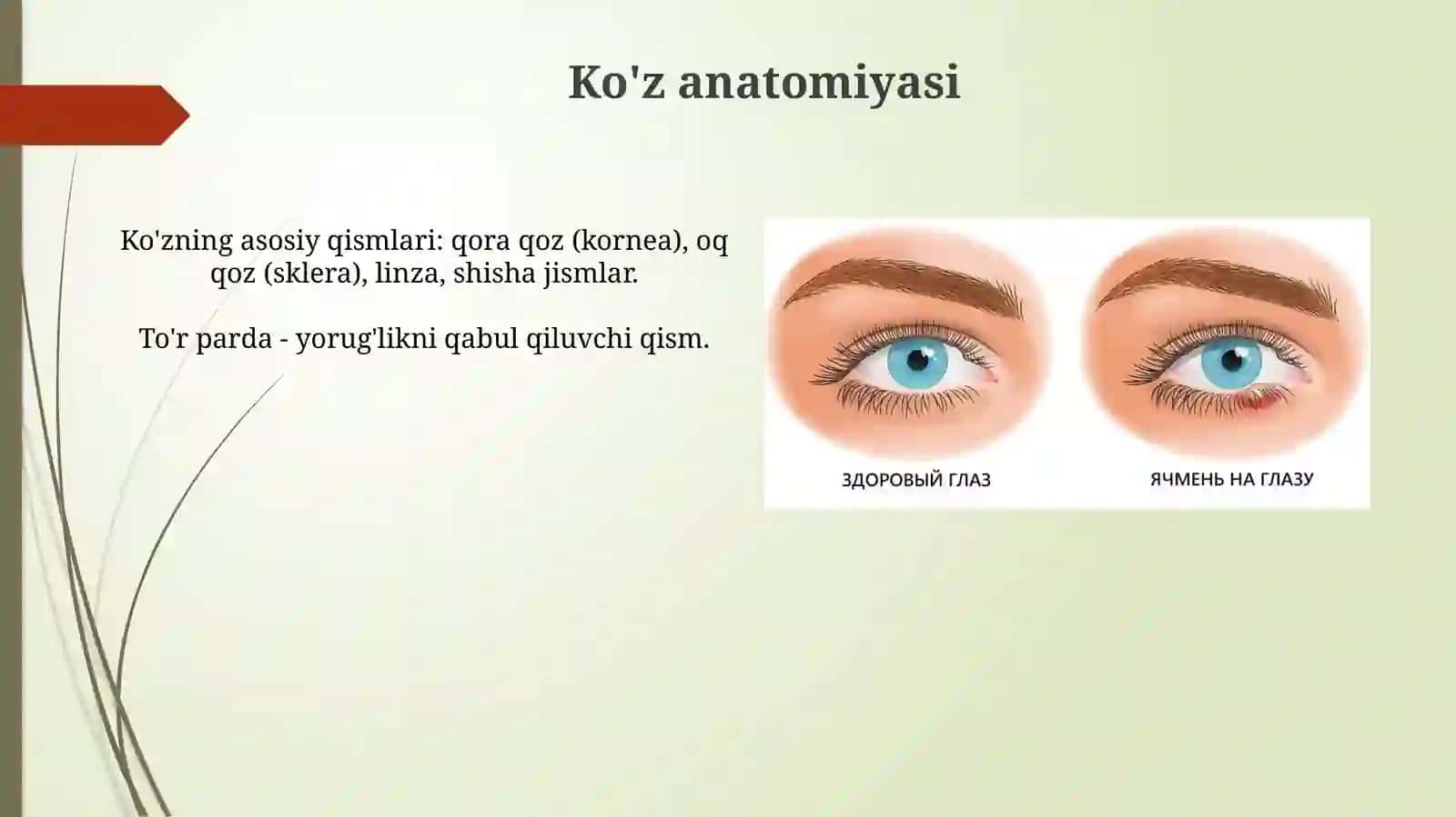 Ko'z kasalliklari 4