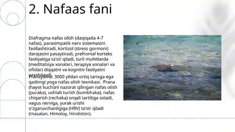 Nafasning boshqarilishi 4
