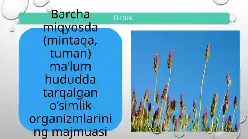 BIOLOGIK RESURSLAR VA ALOHIDA MUHOFAZA QILINADIGAN HUDUDLAR 4