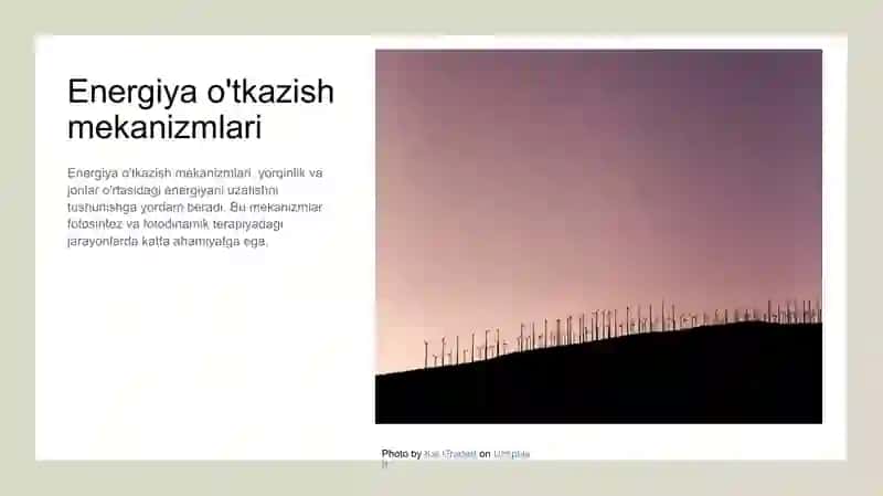 Birlamchi fotofizikaviy va fotokimyoviy jarayonlar 4