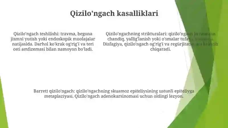 Patalogik Anatomiya: Qorin Bóshliĝi Kasalliklari 4