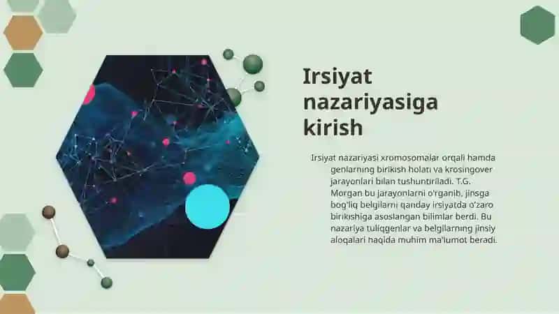Irsiyatning xromosoma nazariyasi.T.G.Morgan. Genlarning birikish holati, krosingover. Belgilarning jinsga birikkan holda irsiylanishi 4