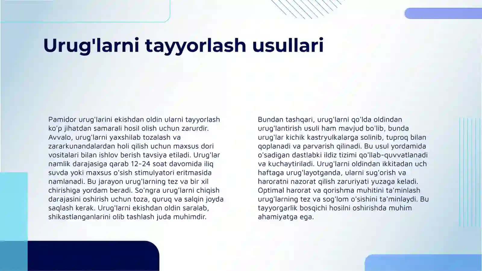 Pamidor Yetishtirish Sirlari 4