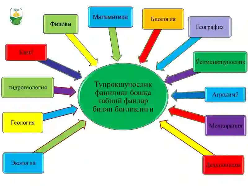 Tuproq gigienasi.  Aholi yashash joylarini tozalashning umumiy asoslari 4