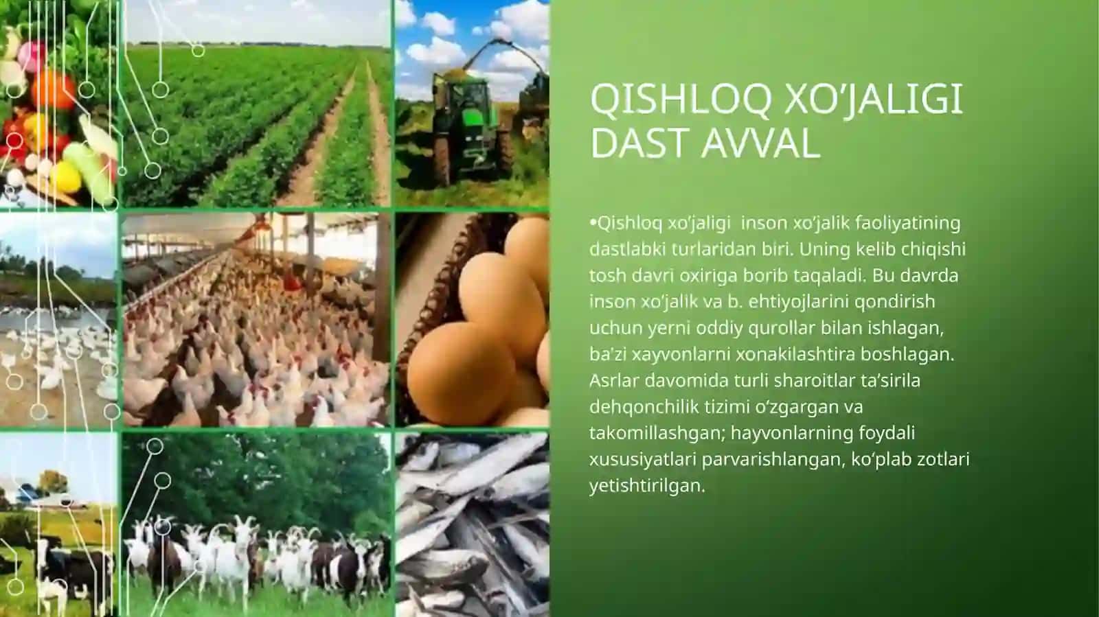 O’zbekiston respublikasida qishloq xo’jaligi va sanoat sohasidagi o’zgarishlar 4