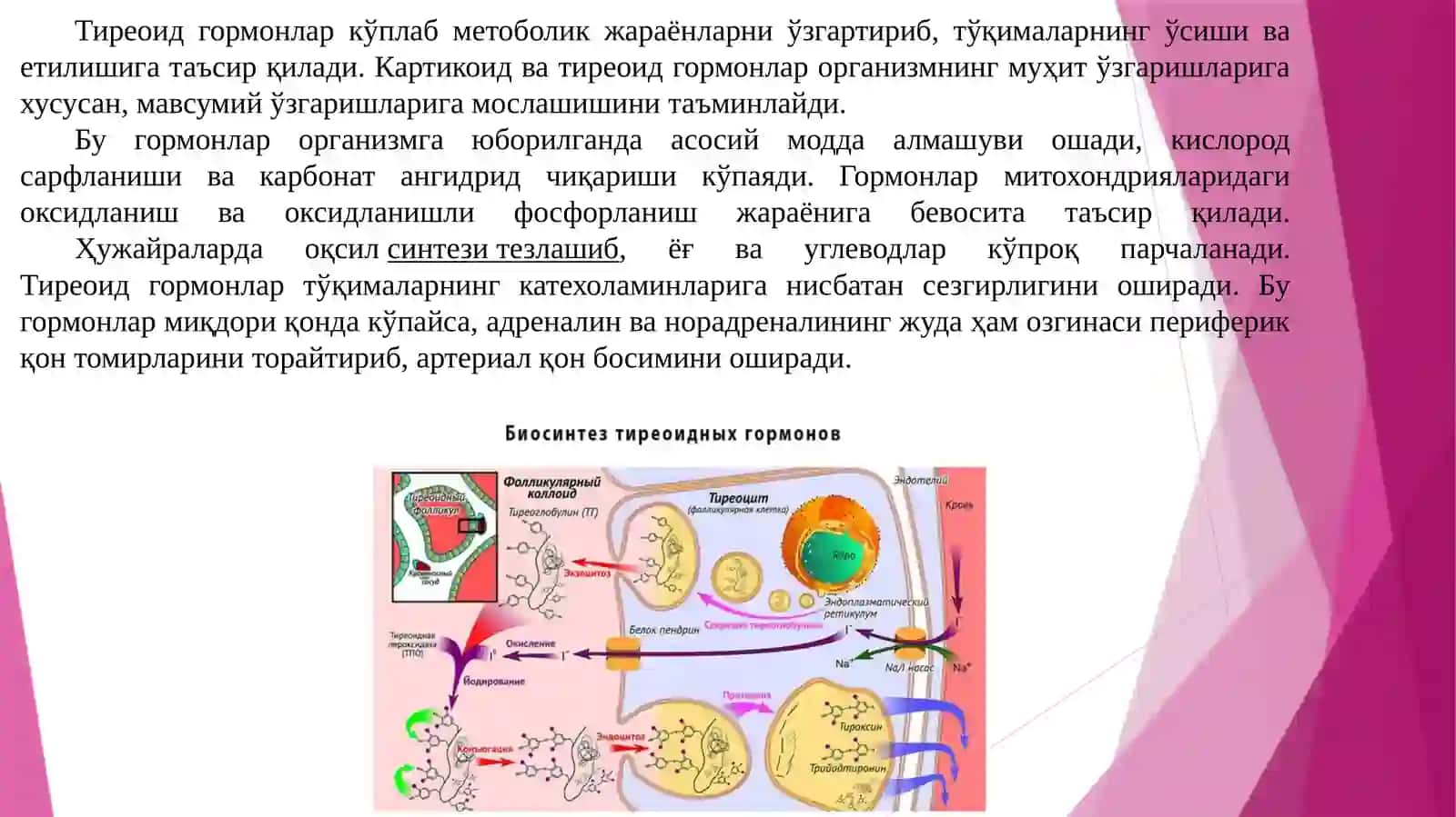 Физиология модули. Маъруза-2 4