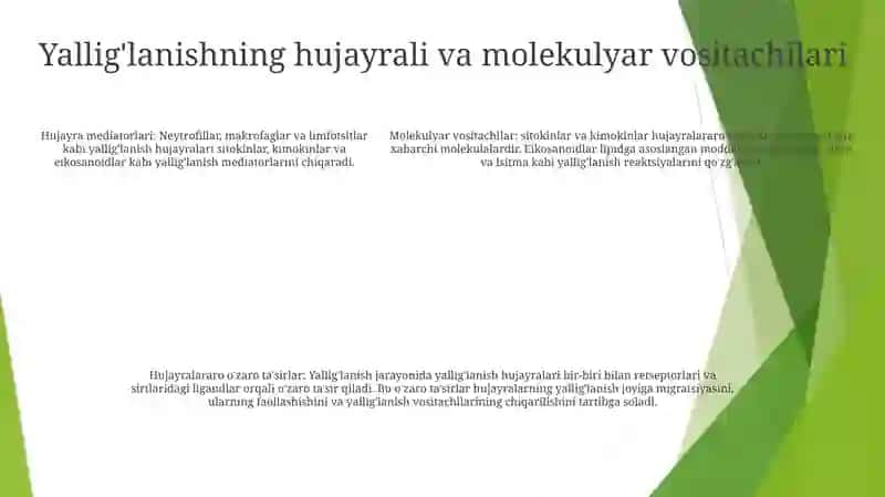 Yaliglanish Reaksiyasi Paytida Hujayralarning Ozaro Tasiri 4
