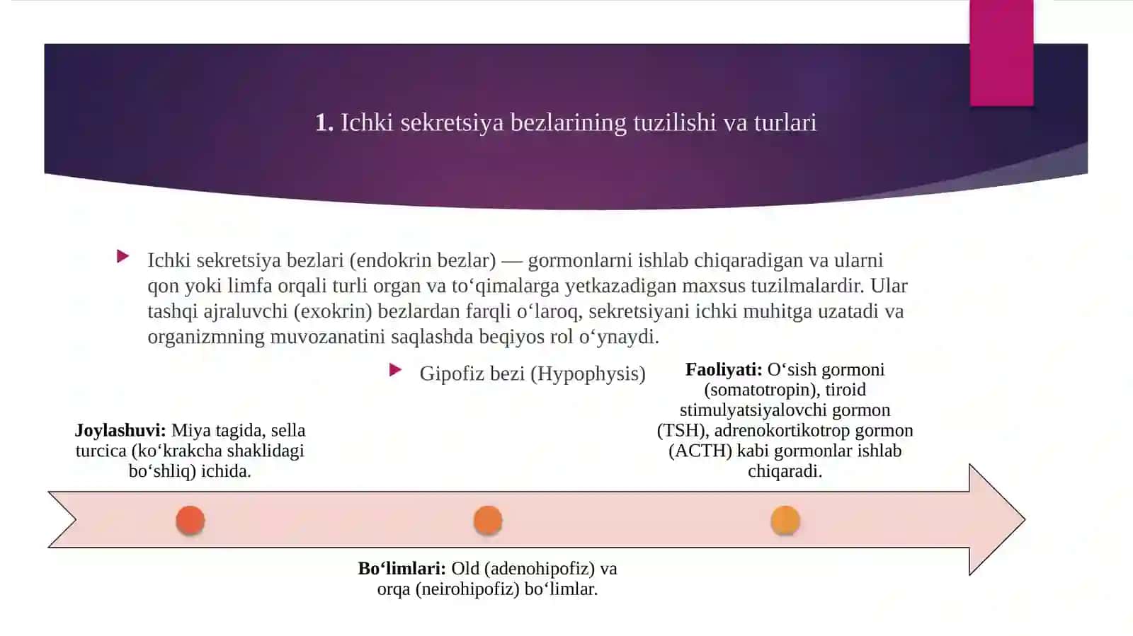 ICHKI SEKRETSIYA BEZLARI VA YOSHGA OID XUSUSIYATLARI 4