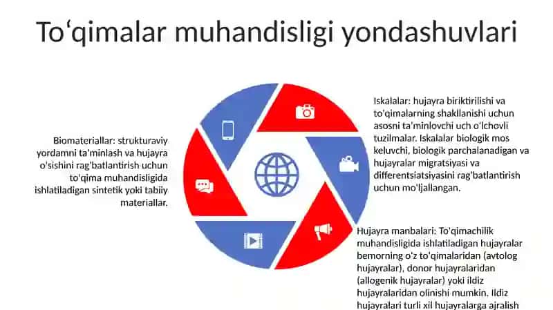 Toqay Toqimasining Regeneratsiyasi Va Transplantatsiyasi 4