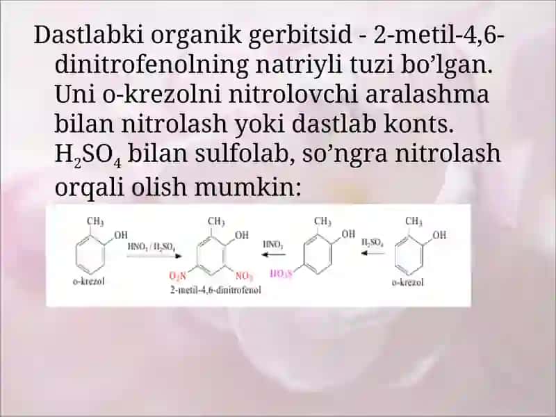 Alifatik nitrobirikmalar 4