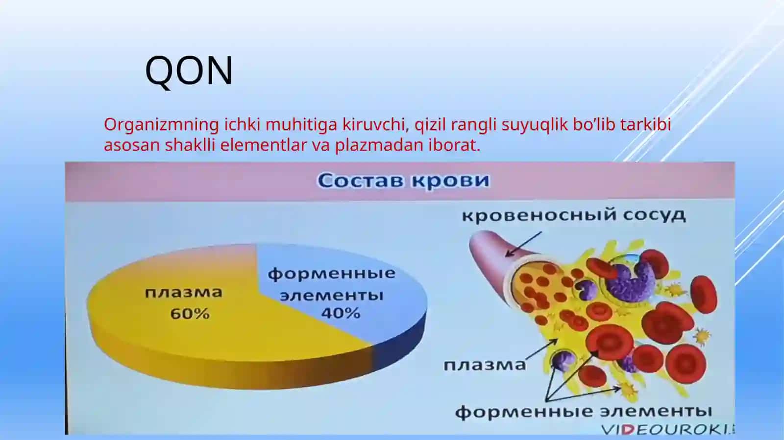 Ichki muhit - Qon biologiyasi 4