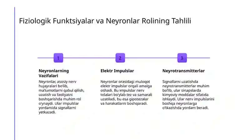 Katta Yarimsharlar Poʻstlogʻining Tuzilishi 4