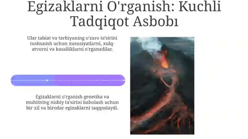 Egizaklar usuli gen va atrof-muhid bir-birga tasiri 4