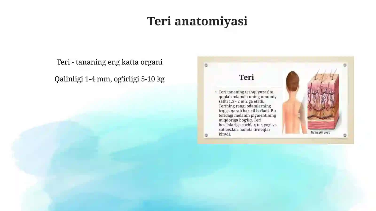 Teri xosilalari 4