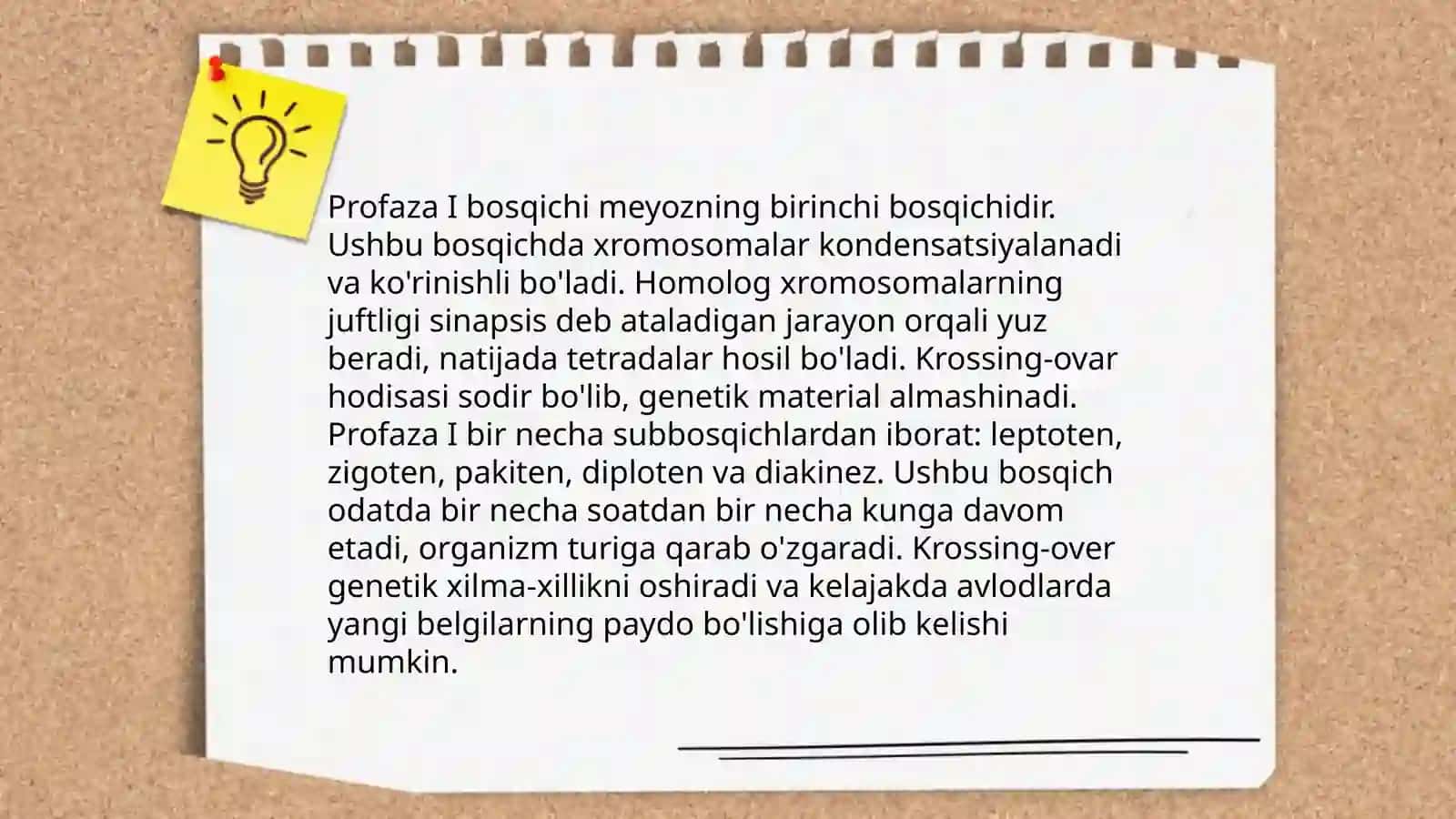 Meyoz bo'linish va fazalar 4