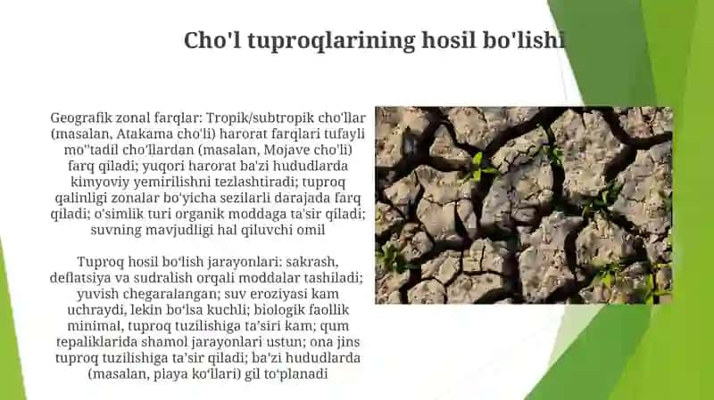 Geografik zonalar bo'yicha tuproq hosil qilish 4