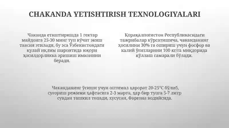 Chakanda Oʻsimligini Yetishtirish Texnologiyasi 4