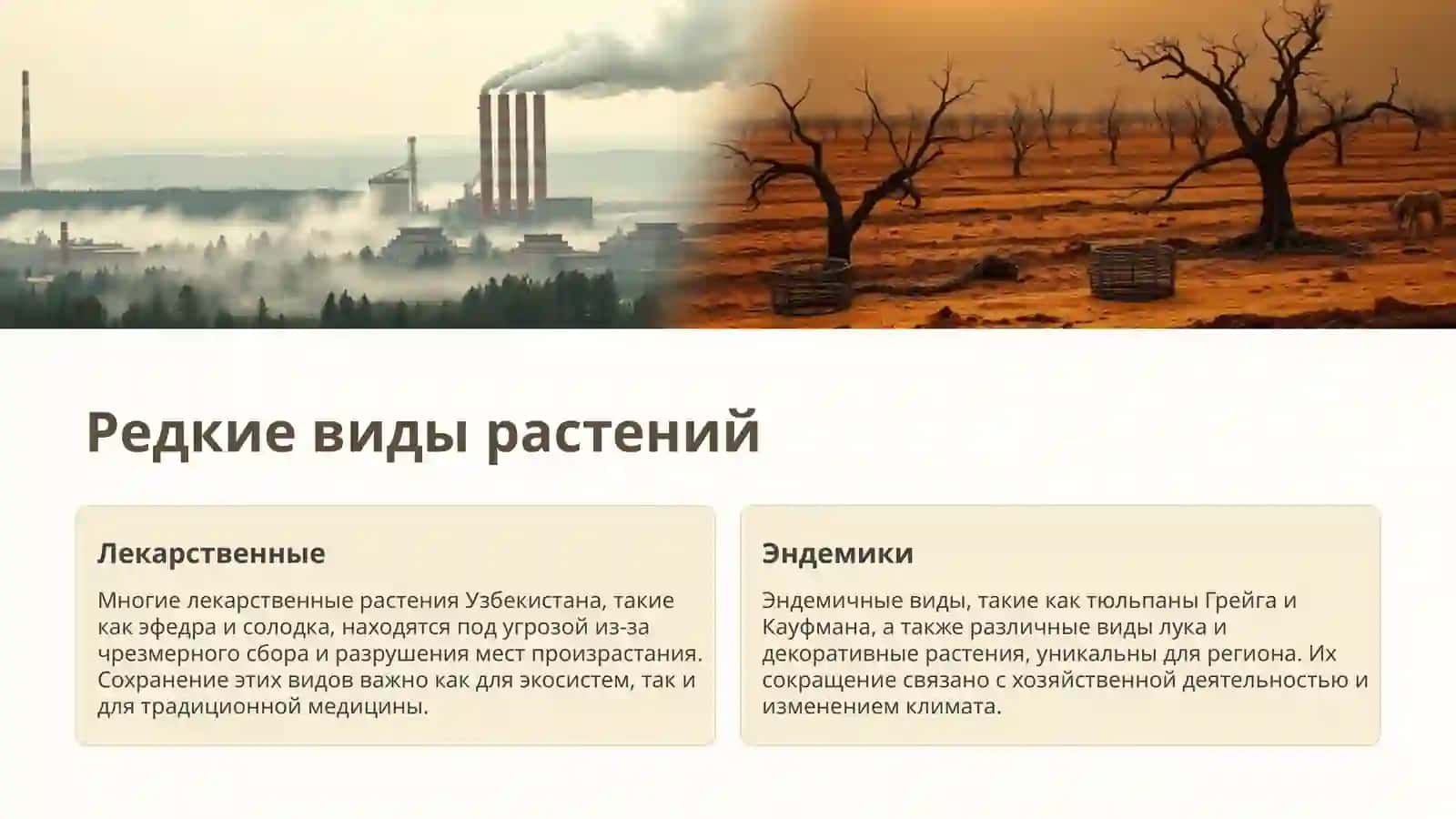 Красная книга Узбекистана 4