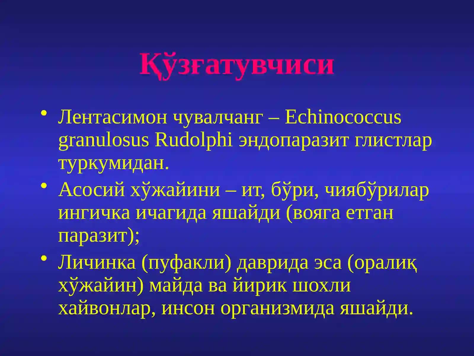 Эхинококкоз. Жигар ваўпка эхинококкози, инвазияси,клиник манзараси,диагностикаси, даволаш усуллари 4